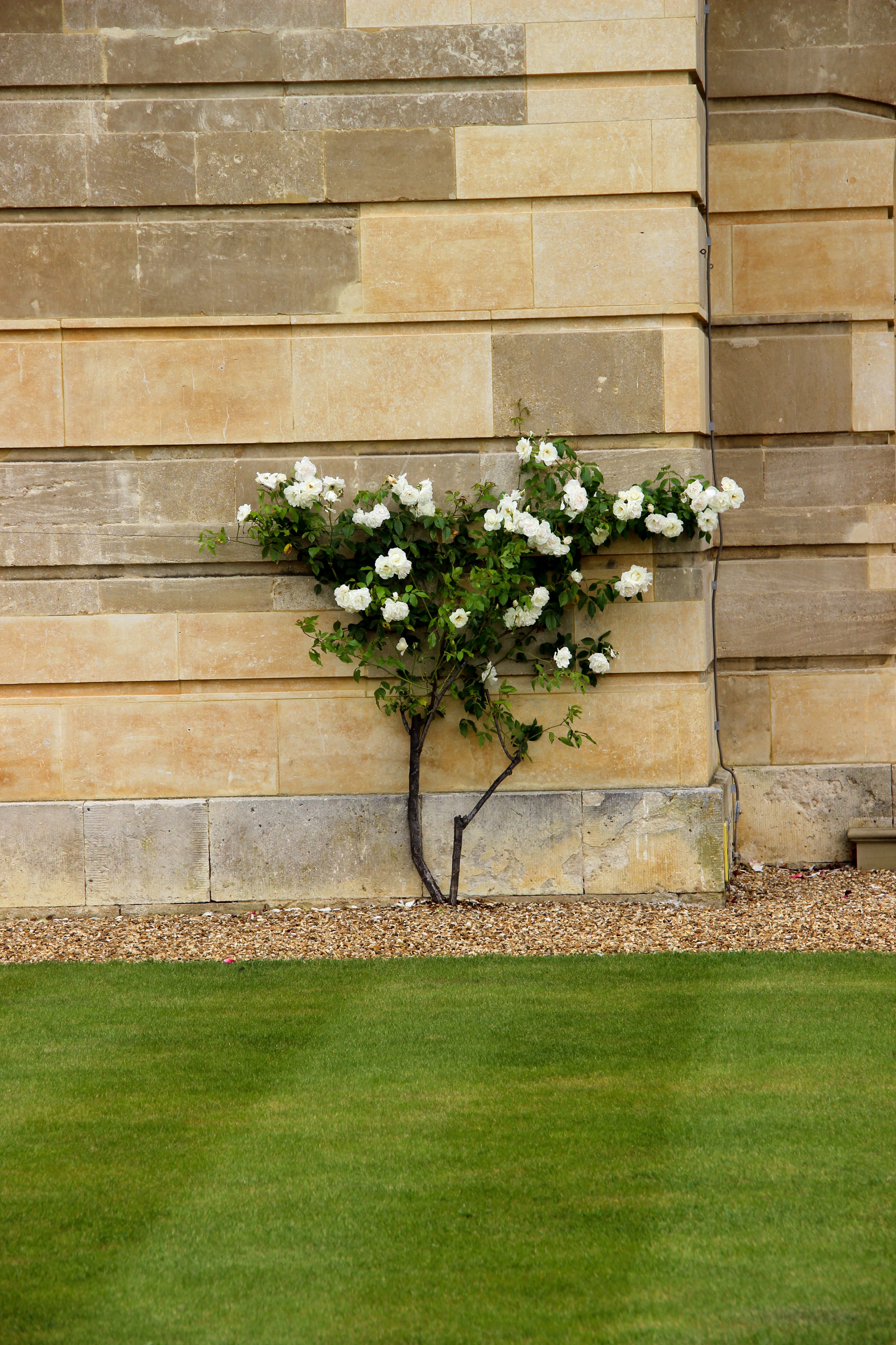 Stowe - National Trust by Fashion Art Media